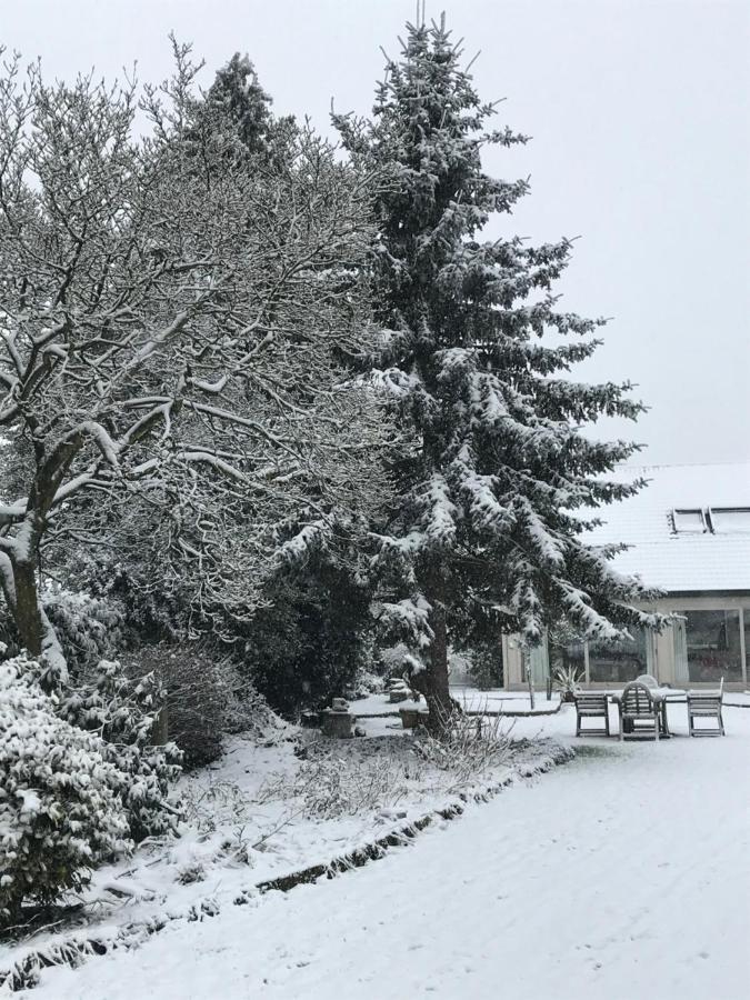 Aquavilla Bed & Breakfast Willebroek Luaran gambar