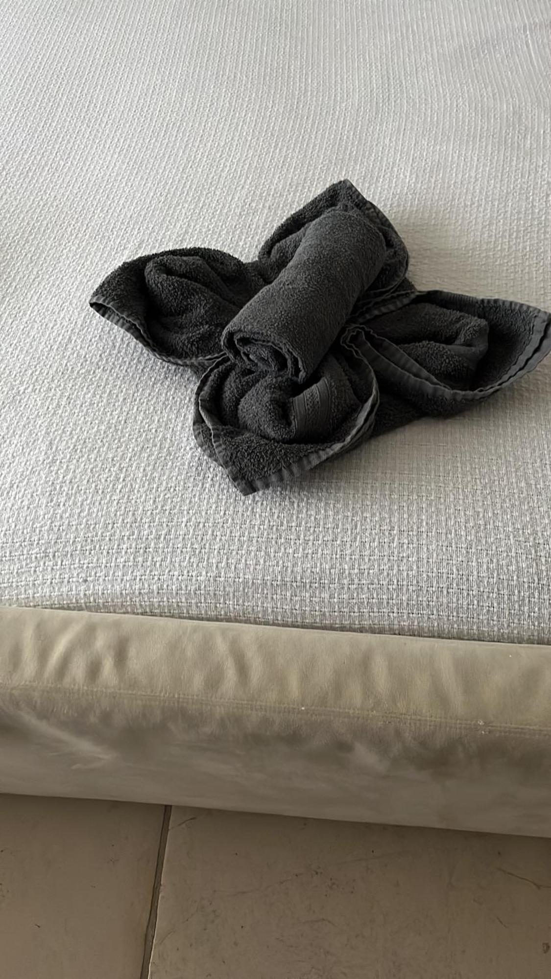 Aquavilla Bed & Breakfast Willebroek Luaran gambar